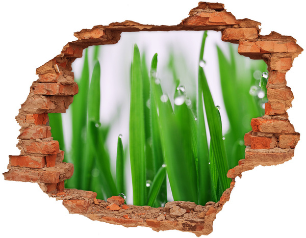 Hole in the wall sticker Green meadow with drops of water