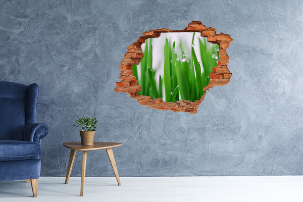 Hole in the wall sticker Green meadow with drops of water