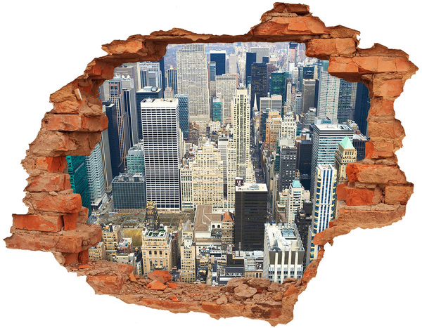 3D wall hole View of Manhattan