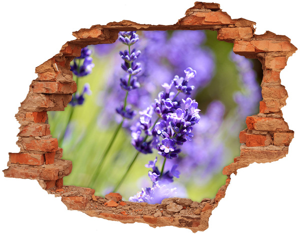3D wall hole Lavender flowers in a virtual hole