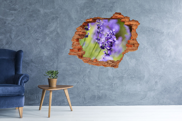 3D wall hole Lavender flowers in a virtual hole