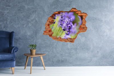 3D wall hole Lavender flowers in a virtual hole