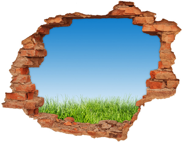 Hole wall sticker Green meadow under a blue sky