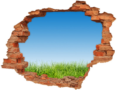Hole wall sticker Green meadow under a blue sky