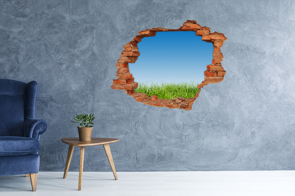 Hole wall sticker Green meadow under a blue sky
