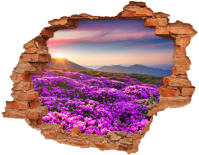 Hole wall sticker Floral landscape in the mountains