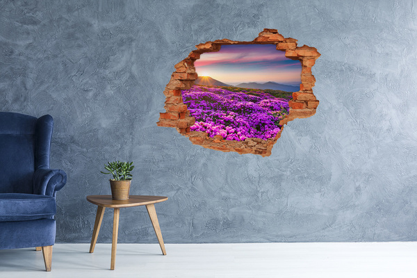 Hole wall sticker Floral landscape in the mountains