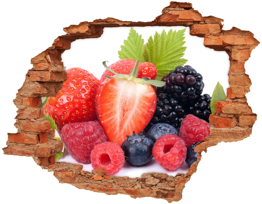 Hole wall sticker Forest fruits