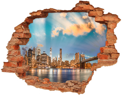 Hole wall sticker View of New York