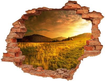 Hole wall sticker Golden meadow at sunset