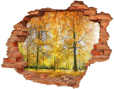 3D wall hole wallpaper Golden autumn in the forest