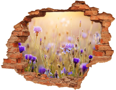 Hole wall sticker Field flowers