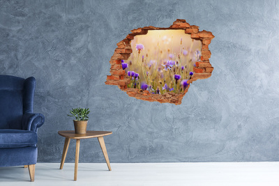 Hole wall sticker Field flowers