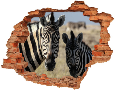 Hole in the wall sticker Zebras in their natural habitat