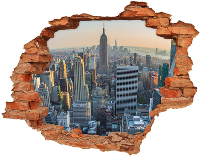 Hole in the wall decal View of New York