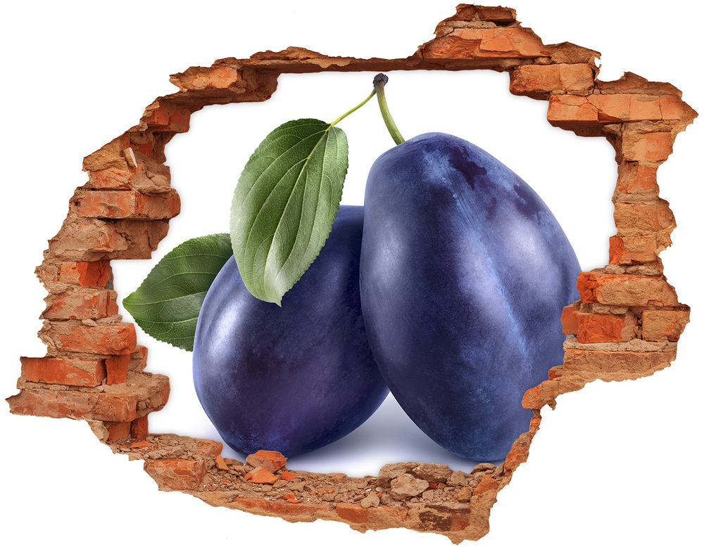 Hole in the wall decal Plums