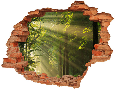 3D wall hole Forest in the sun