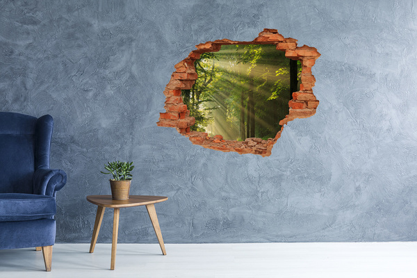 3D wall hole Forest Oasis of Light