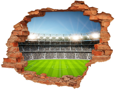 3D wall hole The football stadium in action