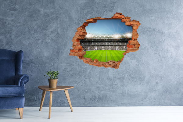 3D wall hole Stadium