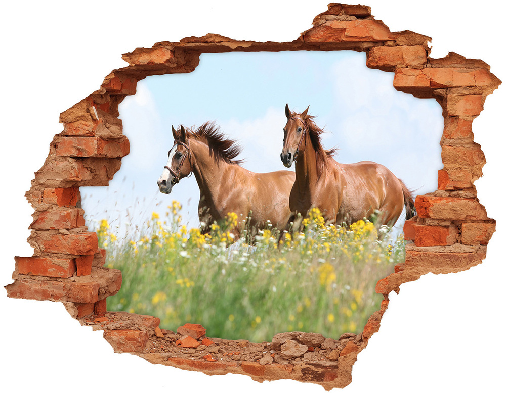 3D wall hole Two horses at a gallop