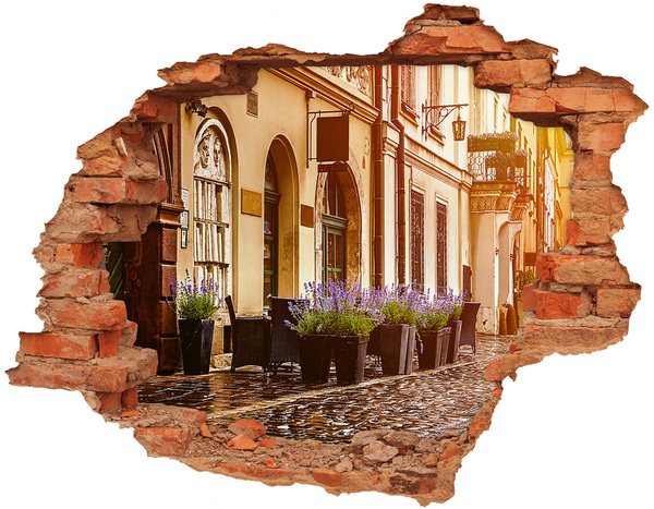 Hole in the wall sticker Cracow Poland