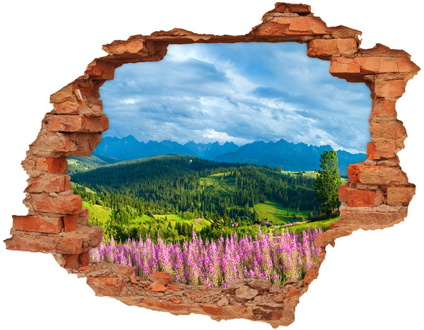 Hole in the wall decal Mountain landscape with flowers