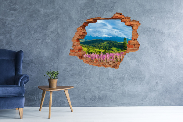 Hole in the wall decal Mountain landscape with flowers