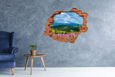 Hole in the wall decal Mountain landscape with flowers