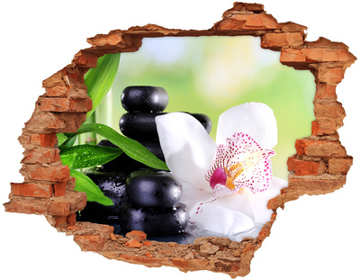 Hole wall sticker Orchid