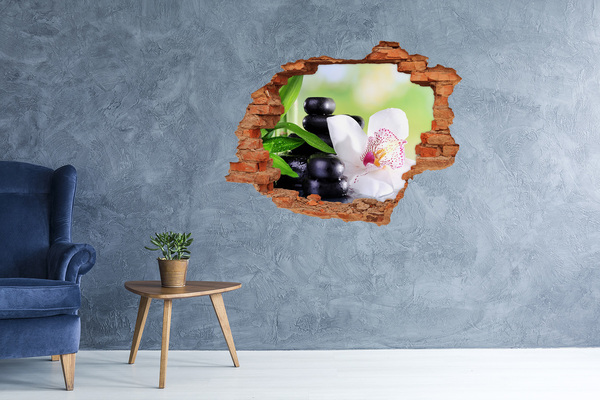 Hole wall sticker Orchid