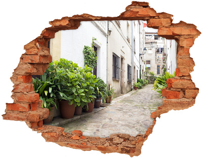 Hole in the wall decal A charming street with vegetation