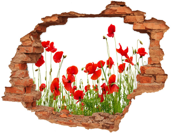 Hole in the wall sticker A floral paradise in concrete
