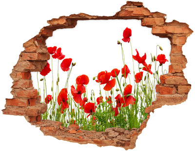 Hole in the wall sticker A floral paradise in concrete