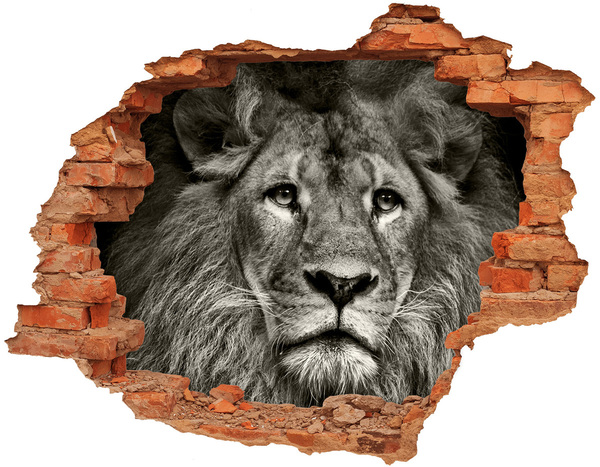 Hole in the wall sticker Lion portrait through a hole in the wall