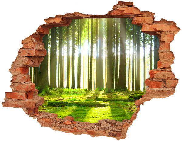 Hole in the wall sticker Green forest with sun rays