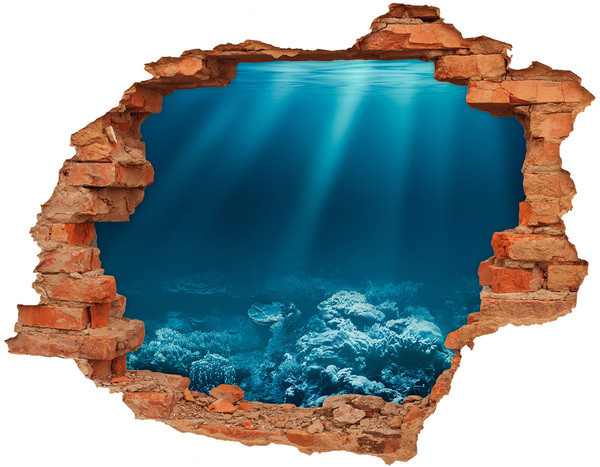 Hole in the wall sticker The underwater world of corals