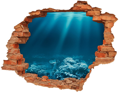 Hole in the wall sticker The underwater world of corals