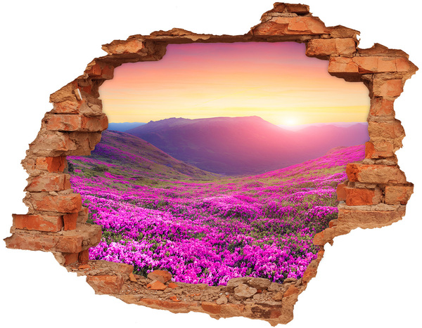 Hole in the wall sticker Flower Valley at Sunset
