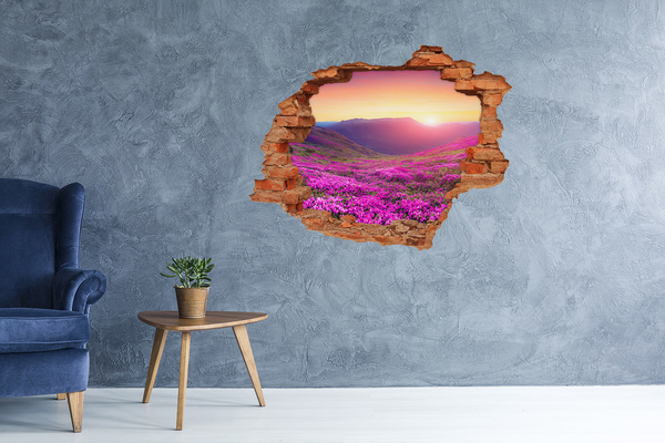 Hole in the wall sticker Flower Valley at Sunset