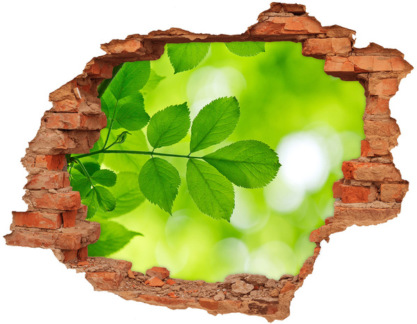 Hole in the wall decal Green leaves