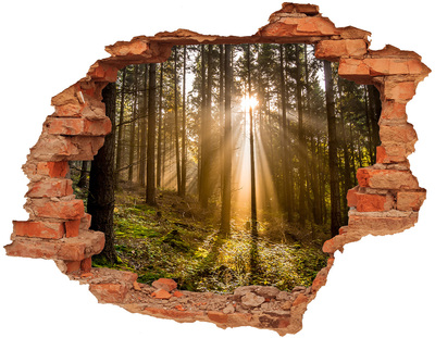 3D wall hole Forest oasis of light