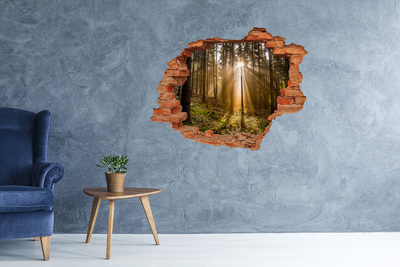 3D wall hole Forest oasis of light