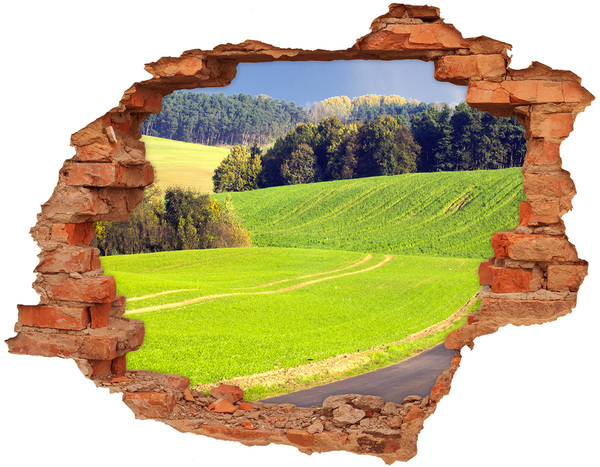 Hole wall sticker Green meadow behind the wall