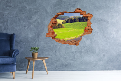 Hole wall sticker Green meadow behind the wall