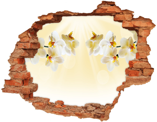 Hole wall sticker Orchid