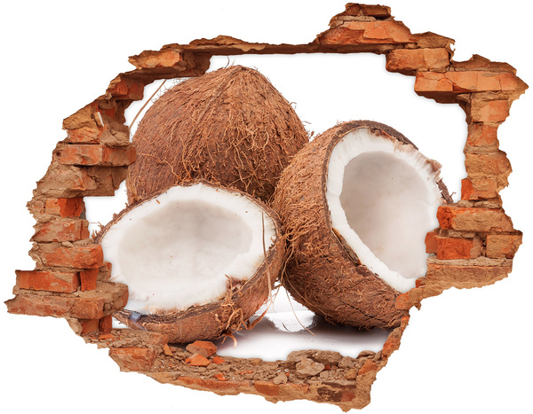 Hole wall sticker Coconut Treasures