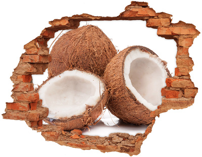 Hole wall sticker Coconut Treasures