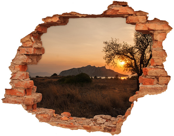 Hole wall sticker Sunset over a mountain landscape