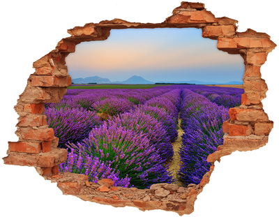 Hole in the wall decal Lavender field